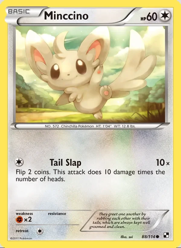 Minccino